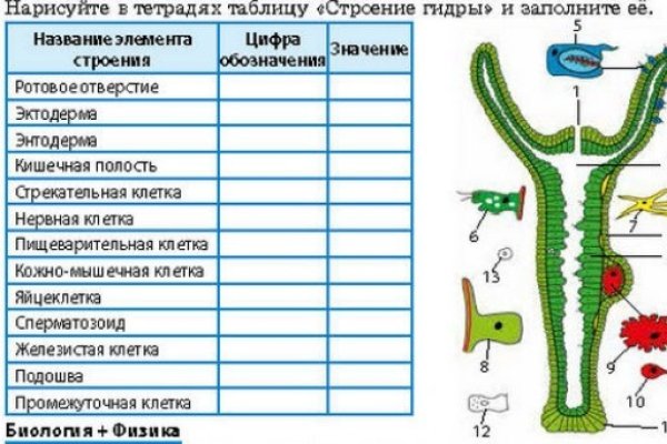 Как зайти на кракен браузеры