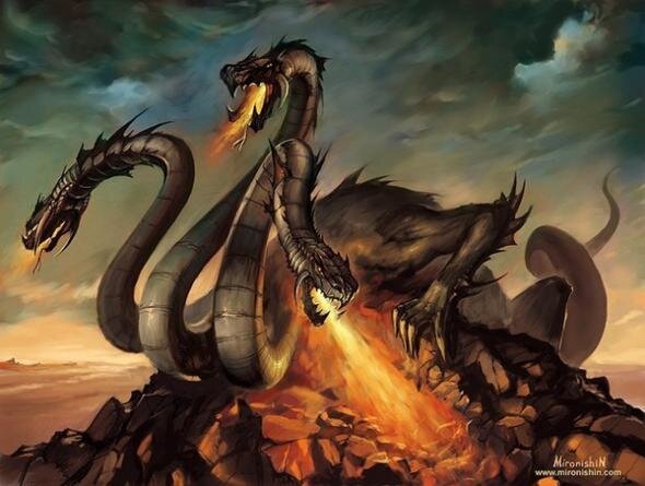 Kraken online
